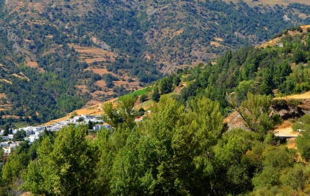 Holiday cottages in Capileira